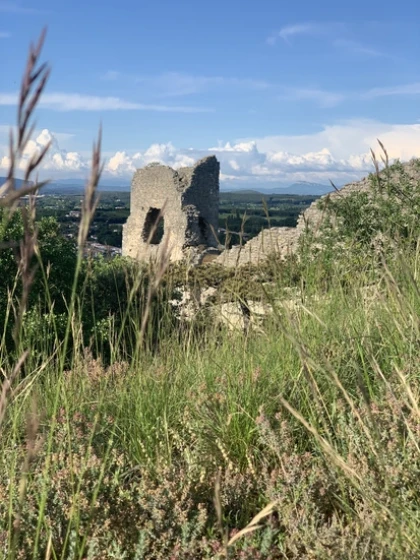 28 Avril - CHÂTEAUNEUF-DU-RHÔNE : Découverte des plantes médicinales - Vignerons Indépendants