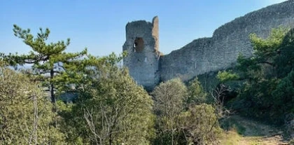 28 Avril - CHÂTEAUNEUF-DU-RHÔNE : Découverte des plantes médicinales - Vignerons Indépendants