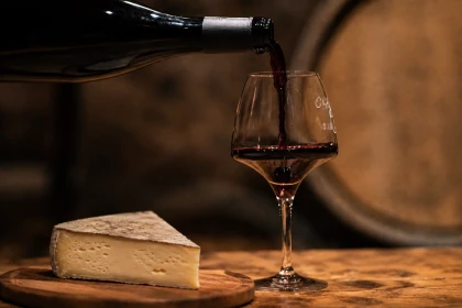 Atelier vins rouges et fromages, le goût de l'accord - Vignobles en scène au Domaine de Grangeneuve - Vignerons Indépendants