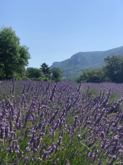 Au rythme de la Nature 1/2 journée - Vignerons Indépendants
