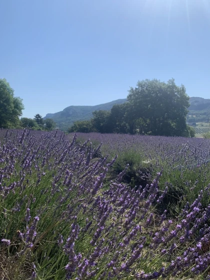 Au rythme de la Nature Journée - Vignerons Indépendants