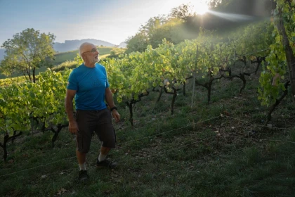 Balade gourmande au milieu des vignes le 18 octobre - Vignerons Indépendants