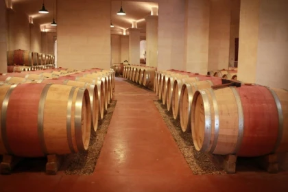 Château Lestrille : Visite & Dégustation Bio - 5 Générations de Vignerons Entre-deux-Mers - Vignerons Indépendants