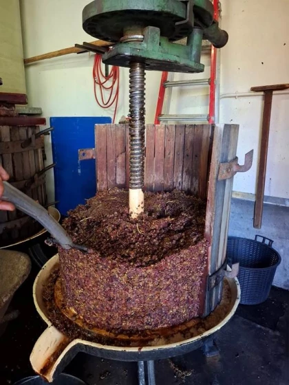 Découverte gourmande : visite, dégustation et planchette locale - Vignerons Indépendants