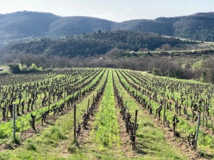 Découverte Nature & Producteurs - Vignerons Indépendants