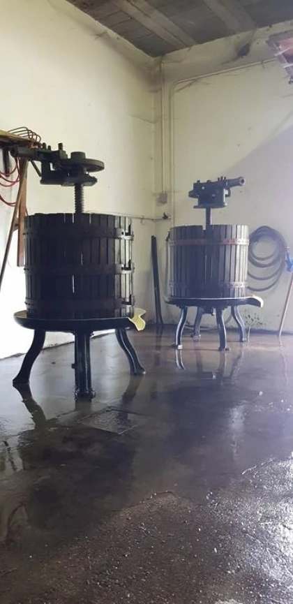 Découvrez les vins naturels et traditionnels - Vignerons Indépendants