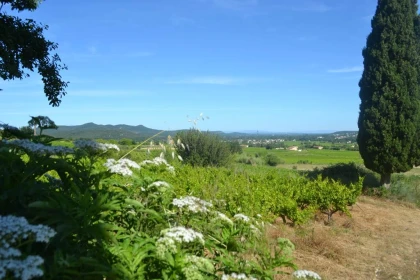 Dégustation 4 vins - Vignerons Indépendants