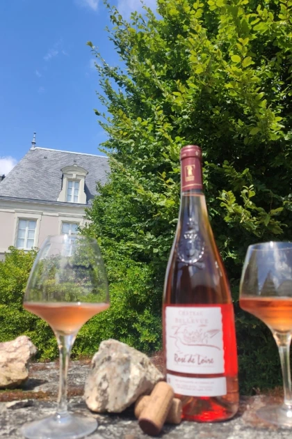 Dégustation au Château de Bellevue autour d'une planche charcuterie & fromage - Vignerons Indépendants
