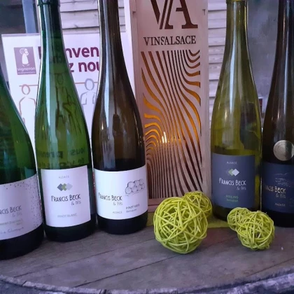 Dégustation libre et conviviale - Vignerons Indépendants