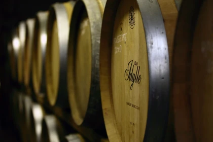 Dégustez les cépages alpins dans un domaine bio savoyard - Vignerons Indépendants