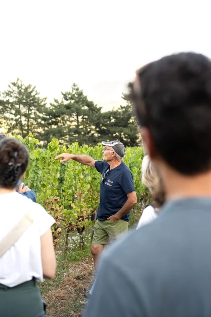 Dégustez les cépages alpins dans un domaine bio savoyard - Vignerons Indépendants