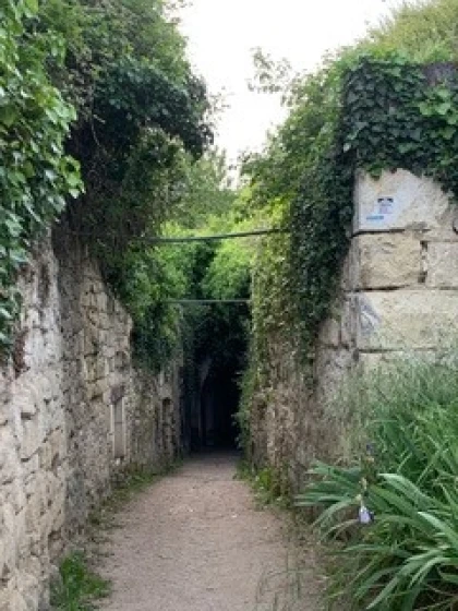 Dimanche 24 mai - L' Échappée épicurienne du Clos à vélo électrique (avec votre propre vélo) - Vignerons Indépendants