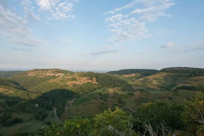 Domaine Rondeau - Vignerons Indépendants