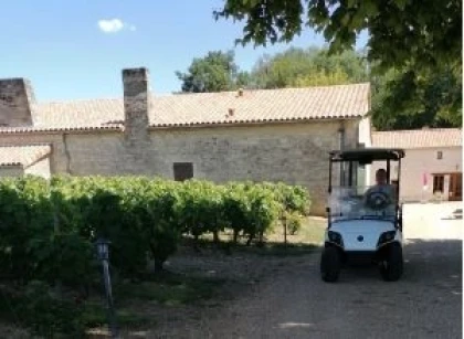 Explorez le vignoble autrement : parcours des vignes en voiturette, visite des chais, dégustation et repas vigneron-durée 3h env. - Vignerons Indépendants