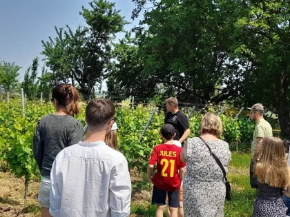 FORMULE "DANS LES PAS DU VIGNERON" - De la Vigne au Verre - Vignerons Indépendants