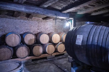 FORMULE HOP'LA : À la découverte des Vins & Crémants d'Alsace - Vignerons Indépendants