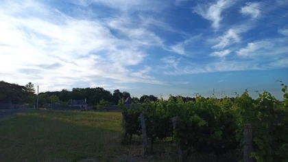 Jeudi 9 Juillet  - Soirée Yoga & Vin - Vignerons Indépendants