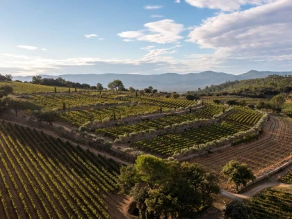 L'essence de La Mascaronne - Visite et dégustation - Vignerons Indépendants