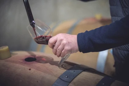 La visite et dégustation "In Vino" : Dans les secrets des vins en cours d'élevage - Vignerons Indépendants