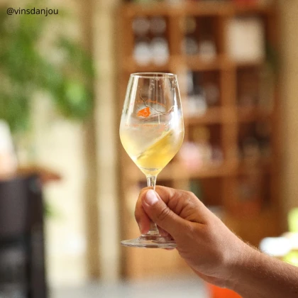 Yoga du rire dans les vignes et dégustation de vins - Vignerons Indépendants