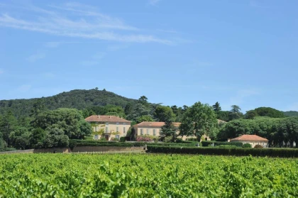 Le Banquet des Vendanges - Saint Estève x Bistrot Demols - Vignerons Indépendants