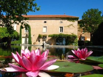 Le Banquet des Vendanges - Saint Estève x Bistrot Demols - Vignerons Indépendants