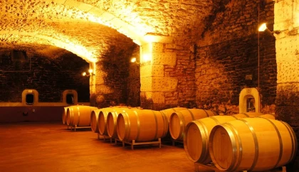 Le Banquet des Vendanges - Saint Estève x Bistrot Demols - Vignerons Indépendants