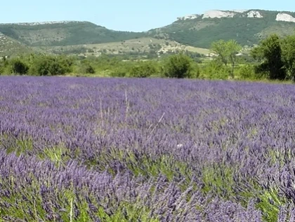 Nature et Producteur : Balade découverte Vignoble en Ardèche - Vignerons Indépendants