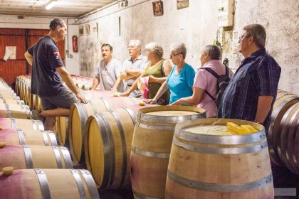 Oubliez la vue, ressentez le vin : cépages de Gaillac à l’aveugle - Vignerons Indépendants