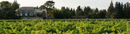 Pic-nic dans les vignes - Vignerons Indépendants