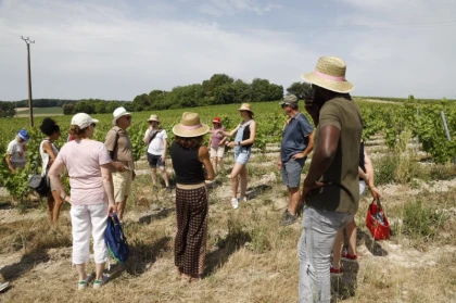 PORTES OUVERTES : Balade Esco'Griffée - 11h00 - Vignerons Indépendants