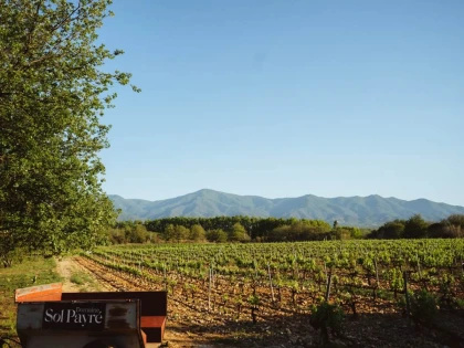 Privatisation - Vignerons Indépendants