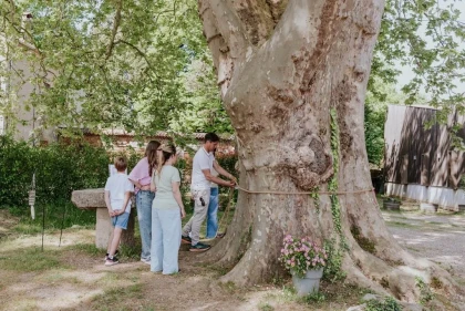 Provence : Balade « L’Empreinte du Temps », Patrimoine, Jeu de Piste, Vin - Vignerons Indépendants
