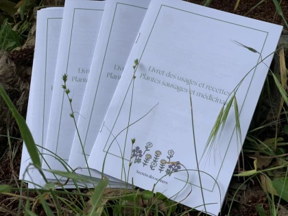 Puygiron : Plantes des sorcières et bâton de fumigation - Vignerons Indépendants