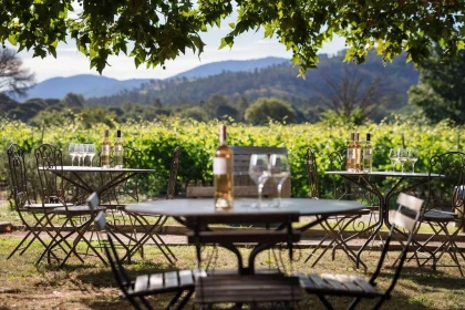 Soirée Apéro'Jale Vin & Fromages charcuterie 26 septembre 2026 - Vignerons Indépendants