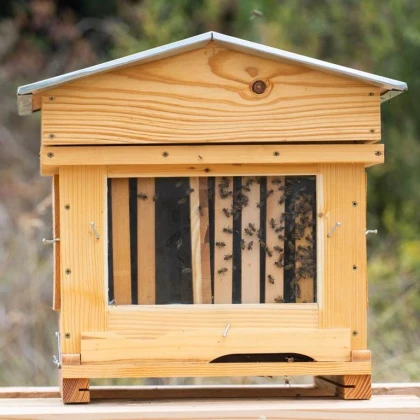 Stage Initiation Apiculture - Vignerons Indépendants