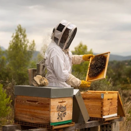 Stage Initiation Apiculture - Vignerons Indépendants