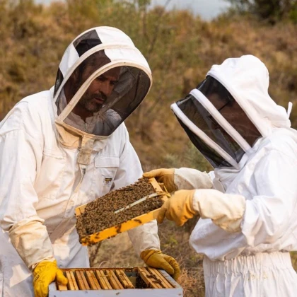 Stage Initiation Apiculture - Vignerons Indépendants