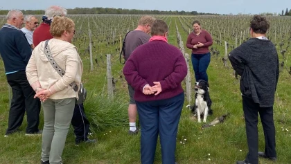 Sur les pas du vigneron - Formule gourmande - Vignerons Indépendants