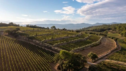 Sur les traces de La Mascaronne - Visite immersive et dégustation - Vignerons Indépendants