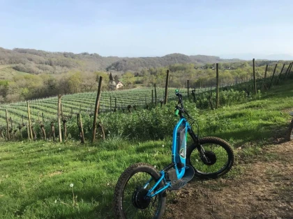Trottinette dans les vignes - Vignerons Indépendants