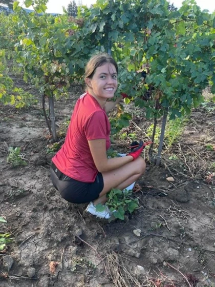 Devenez vigneron d'un jour : expérience vendanges authentique au Domaine de l'Odylée - Vignerons Indépendants