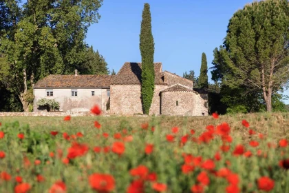 Vendredi 4 Décembre LA NUIT DES 5 SENS — ÉDITION DE NOËL - Vignerons Indépendants