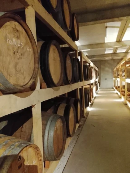 Vignobles en Scène - Visite des nouvelles caves avec dégustation de vieux millésimes en magnum - Vignerons Indépendants