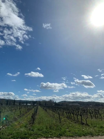 Visite du Chai & Dégustation - Vignerons Indépendants