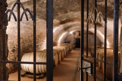 Visite  du Domaine & Dégustation - Vignerons Indépendants