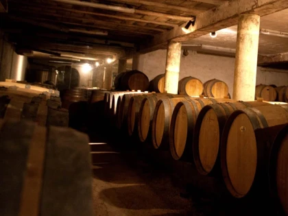 Visite du domaine et dégustation en caveau - Vignerons Indépendants