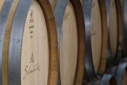 Visite du vignoble et de la cave - Vignerons Indépendants