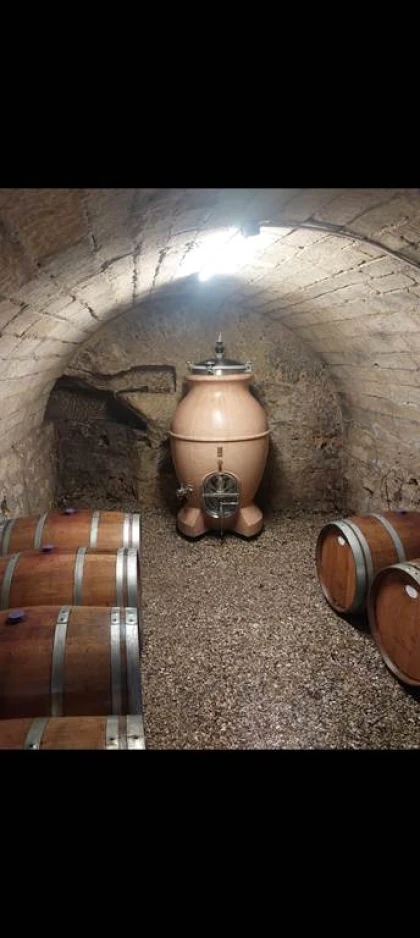 Visite secrète (carrière, chai, cuvier et préparation bouteille) + Dégustation de 3 vins (2) - Vignerons Indépendants