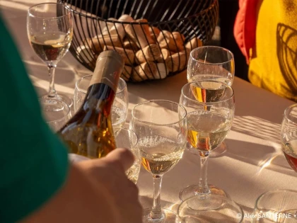Visites du vignoble à la date de votre choix - Vignerons Indépendants
